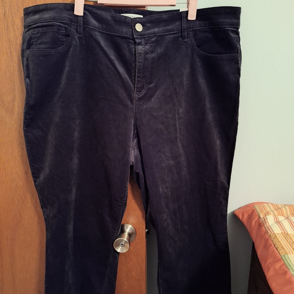 Loft Plus NWT Women's Cropped Flare Dark Charcoal Pants- Brushed